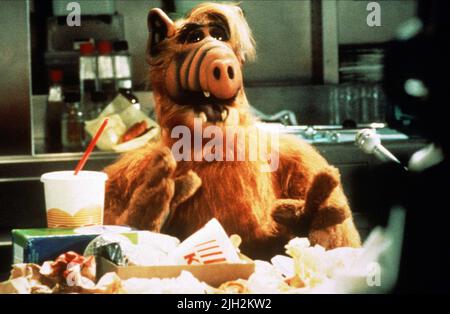 ALF, ALF, 1986 Banque D'Images