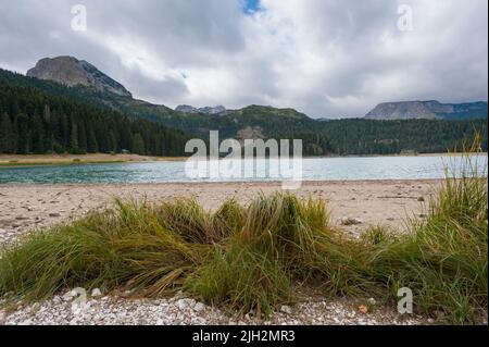 Le lac Black dans le parc national de Durmitor avec une bande d'herbe en premier plan et des montagnes en arrière-plan. Municipalité de Žabljak, Macédoine. Banque D'Images