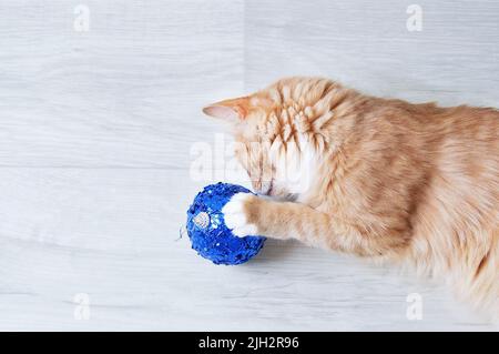 Le chaton au gingembre joue avec un ballon bleu de Noël couché sur le sol. Banque D'Images