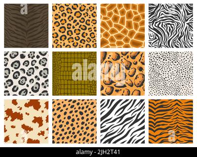 Motif animal. Collection de textures de peau de zébrée léopard de tigre, imprimé camouflage de reptiles et de mammifères, motif de fourrure d'animaux. Fond de safari vectoriel Illustration de Vecteur