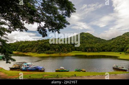 Vue panoramique sur le lac Thekkady à Kerala, Inde Banque D'Images