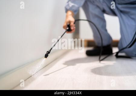 Exterminateur de lutte antiparasitaire Homme pulvérisant le pesticide Termite au bureau Banque D'Images