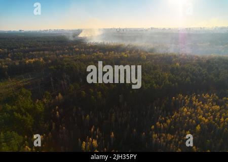 Feu puissant dans une forêt vide. Le feu se propage sur un front uni, forte fumée de l'endroit en feu. Vue du dessus, verticalement de haut en bas. n Banque D'Images