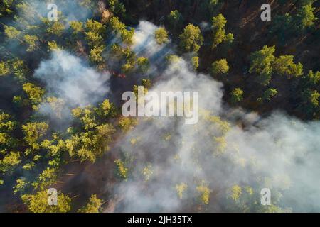 Feu puissant dans une forêt vide. Le feu se propage sur un front uni, forte fumée de l'endroit en feu. Vue du dessus, verticalement de haut en bas. n Banque D'Images