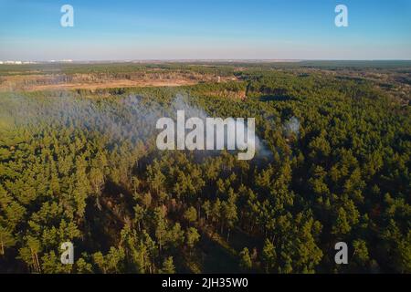 Feu puissant dans une forêt vide. Le feu se propage sur un front uni, forte fumée de l'endroit en feu. Vue du dessus, verticalement de haut en bas. n Banque D'Images