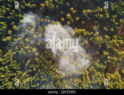 Feu puissant dans une forêt vide. Le feu se propage sur un front uni, forte fumée de l'endroit en feu. Vue du dessus, verticalement de haut en bas. n Banque D'Images