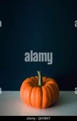 Une simple vie d'une citrouille orange vif sur une étagère blanche sur fond bleu foncé en automne/automne à Halloween Banque D'Images