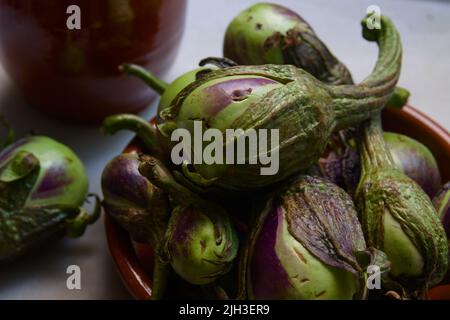 Gros plan de quelques petites aubergines crues que l'on pense conserver par fermentation Almagro style, Castilla la Mancha (Espagne) Banque D'Images