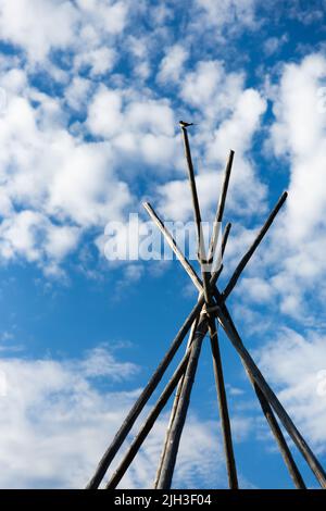 Poteaux en bois de tipi traditionnel en cabine en été, près de la communauté indigène du nord de Deline, Territoires du Nord-Ouest, Canada Banque D'Images