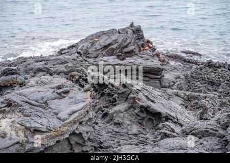 Formations rocheuses de lave noire sur l'île de Santiago dans les Galapagos Banque D'Images