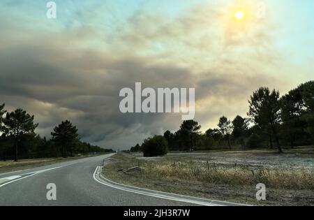 La teste de Buch, France. 14th juillet 2022. De denses nuages de fumée provenant d'un feu de forêt se délellent sur une route de campagne sur la côte atlantique, à environ 60 au sud-ouest de Bordeaux. Dans les premières heures du matin, les forces d'urgence ont de nouveau évacué une colonie et amené environ 60 personnes en sécurité, puis elles ont également évacué une communauté d'environ 4000 personnes. Selon la préfecture, environ 1000 pompiers ont été déployés dans des incendies autour de Tteste-de-Buch et Landiras. Credit: Holger Mehlig/dpa/Alay Live News Banque D'Images