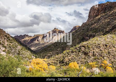 Recherche sur le canyon Sabino dans la zone de loisirs de Sabino Canyon, Arizona, États-Unis. Banque D'Images