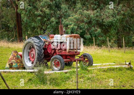 Santa Elena, Antioquia, Colombie - 17 mai 2022: Tracteur rouge dans un champ vert Banque D'Images
