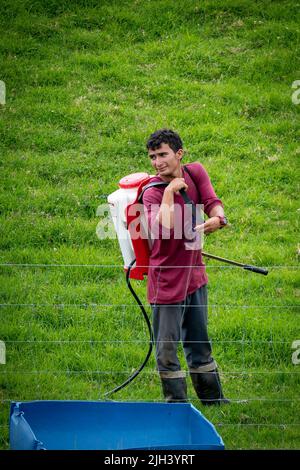 Santa Elena, Antioquia, Colombie - 17 mai 2022: Un jeune homme pulvérisant l'herbe à l'extérieur d'une clôture de chaîne Banque D'Images
