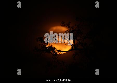 Pleine lune le jour du poya au Sri Lanka Banque D'Images