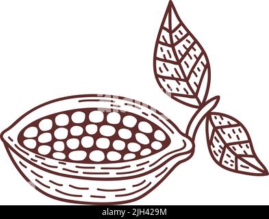 icône représentant un dessin de fruits de la plante de cacao Illustration de Vecteur