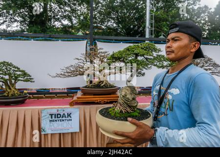 Concours et exposition Bonsai à Bogor City, en Indonésie. L'Indonésie est dans les trois premiers pays avec les communautés bonsaïes les plus importantes et de meilleure qualité Banque D'Images