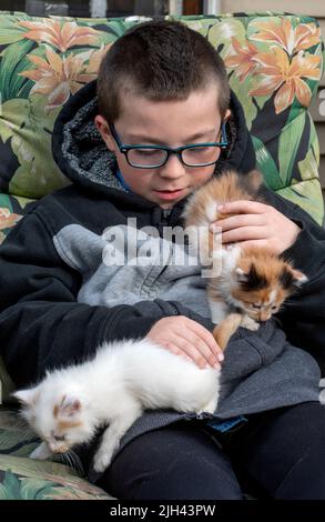 Deux chatons actifs grimpent au-dessus d'un jeune garçon avec des lunettes, comme il tient et les animaux de ses jeunes amis à fourrure Banque D'Images