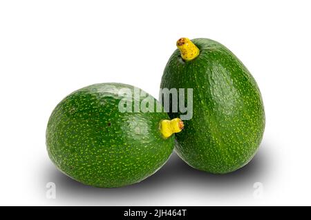 Vert avocat frais sur fond blanc avec passe-cheveux. L'avocat a une chair beurrée lorsqu'il est mûr. Banque D'Images