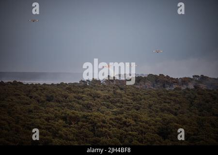 France. 14th juillet 2022. Les avions de lutte contre les incendies de Canadair survolent la dune du Pyla, dans le sud-ouest de la France, sur 14 juillet 2022. Environ 1 000 pompiers, appuyés par six bombardiers à eau, se sont affrontés jeudi pour maîtriser deux feux de forêt dans le sud-ouest de la France qui ont déjà brûlé près de 4 000 hectares. « Les incendies ne sont toujours pas maîtrisés, aucune victime n'a été signalée », a déclaré l'autorité locale du département de la Gironde, où les blazères, qui ont commencé mardi, faisaient rage. Photo par ABACAPRESS. Credit: Abaca Press/Alay Live News Banque D'Images