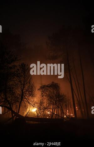 France. 14th juillet 2022. Les pompiers travaillent pour éteindre un feu de forêt au fond de la dune du Pilat près de la teste-de-Buch, dans le sud-ouest de la France sur 14 juillet 2022. Environ 1 000 pompiers, appuyés par six bombardiers à eau, se sont affrontés jeudi pour maîtriser deux feux de forêt dans le sud-ouest de la France qui ont déjà brûlé près de 4 000 hectares. « Les incendies ne sont toujours pas maîtrisés, aucune victime n'a été signalée », a déclaré l'autorité locale du département de la Gironde, où les blazères, qui ont commencé mardi, faisaient rage. Photo par ABACAPRESS. Crédit: Abaca Press/Alay Banque D'Images