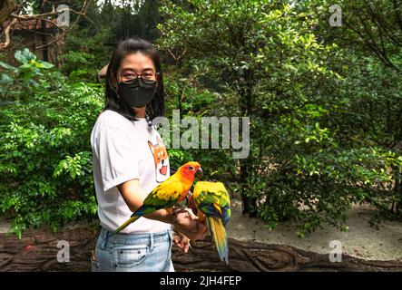 Portrait d'une femme asiatique d'âge moyen dans un zoo, tenant de mignons oiseaux de soleil conure, portant un masque de couleur noire, arrière-plan flou de l'arbre, espace pour Banque D'Images