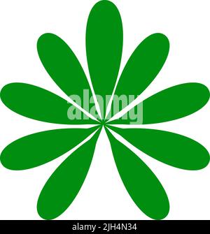 Feuille de plantes tropicales. Articles isolés Schefflera Illustration de Vecteur