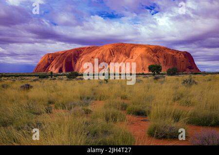 Ayers Rock, Uluru, Australie, parc national d'Uluru-Kata Tjuta Banque D'Images