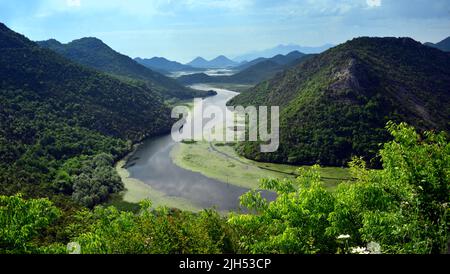 Le lac Skadar est le plus grand lac de la péninsule des Balkans. Le lac est situé à la frontière entre l'Albanie et le Monténégro, Banque D'Images