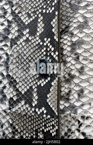 Détail d'un élégant manteau de python blanc fait main, exposé dans un magasin de luxe de grande rue. Shopping à Rome, Italie, Europe, UE Banque D'Images