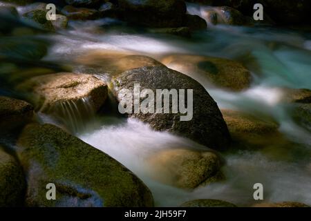 Creek Cool lumière et ombre. Un ruisseau de montagne froid et clair dans le nord-ouest du Pacifique. Flou de mouvement en longue exposition. Banque D'Images