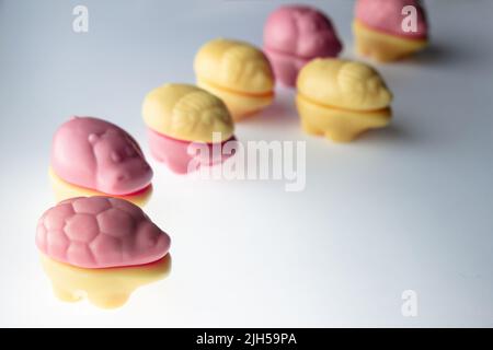 Divers animaux comestibles à base de marmelade à mâcher avec ajout de jus naturels. Fleurs jaunes et roses sur fond blanc. sw pour enfants Banque D'Images