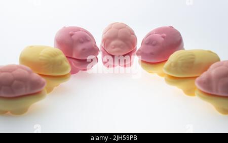 Divers animaux comestibles à base de marmelade à mâcher avec ajout de jus naturels. Fleurs jaunes et roses sur fond blanc. sw pour enfants Banque D'Images