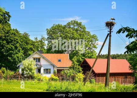 Maison à Kurtuvenai avec nid de cigognes sur le dessus de poste électrique en Lituanie campagne - Kurtuvenai. Oiseau symbolique national en Lituanie Banque D'Images