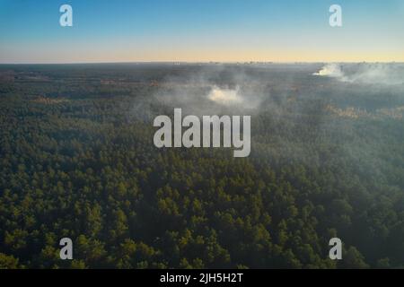 Feu puissant dans une forêt vide. Le feu se propage sur un front uni, forte fumée de l'endroit en feu. Vue du dessus, verticalement de haut en bas. n Banque D'Images
