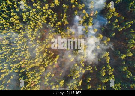 Feu puissant dans une forêt vide. Le feu se propage sur un front uni, forte fumée de l'endroit en feu. Vue du dessus, verticalement de haut en bas. n Banque D'Images