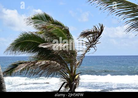 Vue imprenable sur la plage de Bathsheba à la Barbade. Banque D'Images