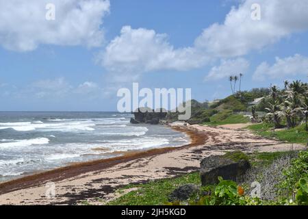 Vue imprenable sur la plage de Bathsheba à la Barbade. Banque D'Images