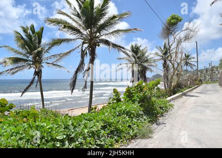 Vue imprenable sur la plage de Bathsheba à la Barbade. Banque D'Images