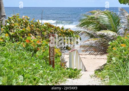 Bathsheba signe de plage lors d'une belle journée à la Barbade. Banque D'Images