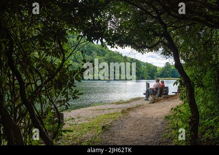 Couple senior appréciant la vue depuis un banc au bord du lac le long de la piste du lac Trahlyta au parc national de Vogel dans les montagnes de Géorgie du Nord-est. (ÉTATS-UNIS) Banque D'Images