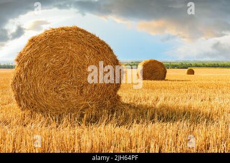 Des gerbes de paille et de chaume de blé dans un champ de blé récolté sur fond d'un ciel spectaculaire près de Marioupol en Ukraine avant la guerre 2022 Banque D'Images