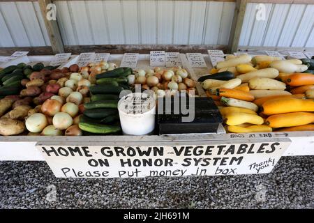 Gros plan d'une table remplie de produits vendus sur le système d'honneur. Banque D'Images