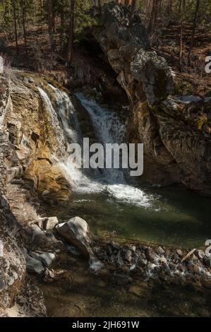 Une petite cascade dans le ruisseau Paulina au terrain de camping McKay Crossing, forêt nationale de Deschutes, Oregon Banque D'Images