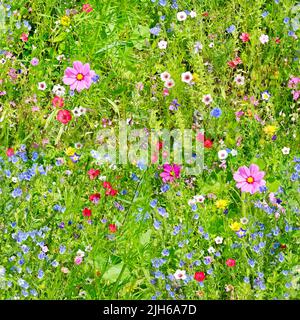 Fleurs texturées sans couture. Grand arrière-plan naturel répétitif. Banque D'Images