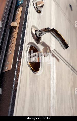 porte métallique moderne et fiable, décoration intérieure en bois et triple étanchéité Banque D'Images