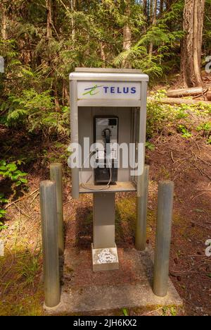 Téléphone payant au terrain de camping antérieur Centennial, North Pender Island, Colombie-Britannique, Canada Banque D'Images