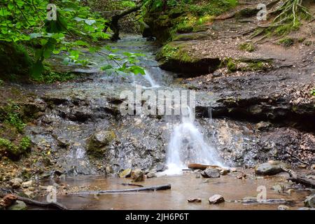 Parfrey's Glen Waterfall près du parc national Devil's Lake, Wisconsin, États-Unis. Banque D'Images