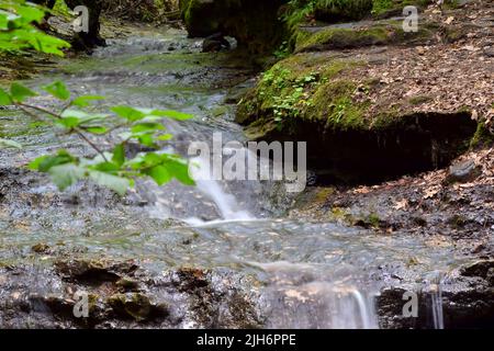 Parfrey's Glen Waterfall près du parc national Devil's Lake, Wisconsin, États-Unis. Banque D'Images