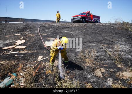 Richmond, États-Unis. 15th juillet 2022. Un pompier utilise de l'eau pour éteindre le feu de broussailles à Richmond. Les pompiers répondent à un incendie de brosse à Richmond, le feu de brosse a commencé vers 1 h 22 et a été contenu par 2 h. la cause de l'incendie est la combustion ouverte de déchets dans la région. Crédit : SOPA Images Limited/Alamy Live News Banque D'Images